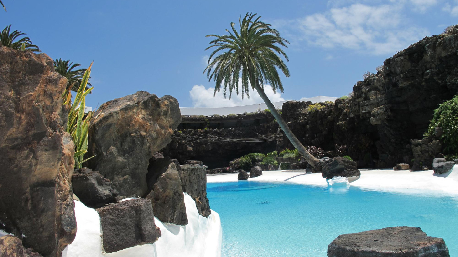 Explorez la Martinique : soleil, plages et patrimoine culturel